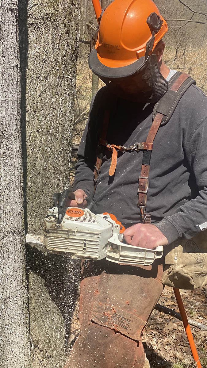 Whitetail Design Build Josh using chainsaw