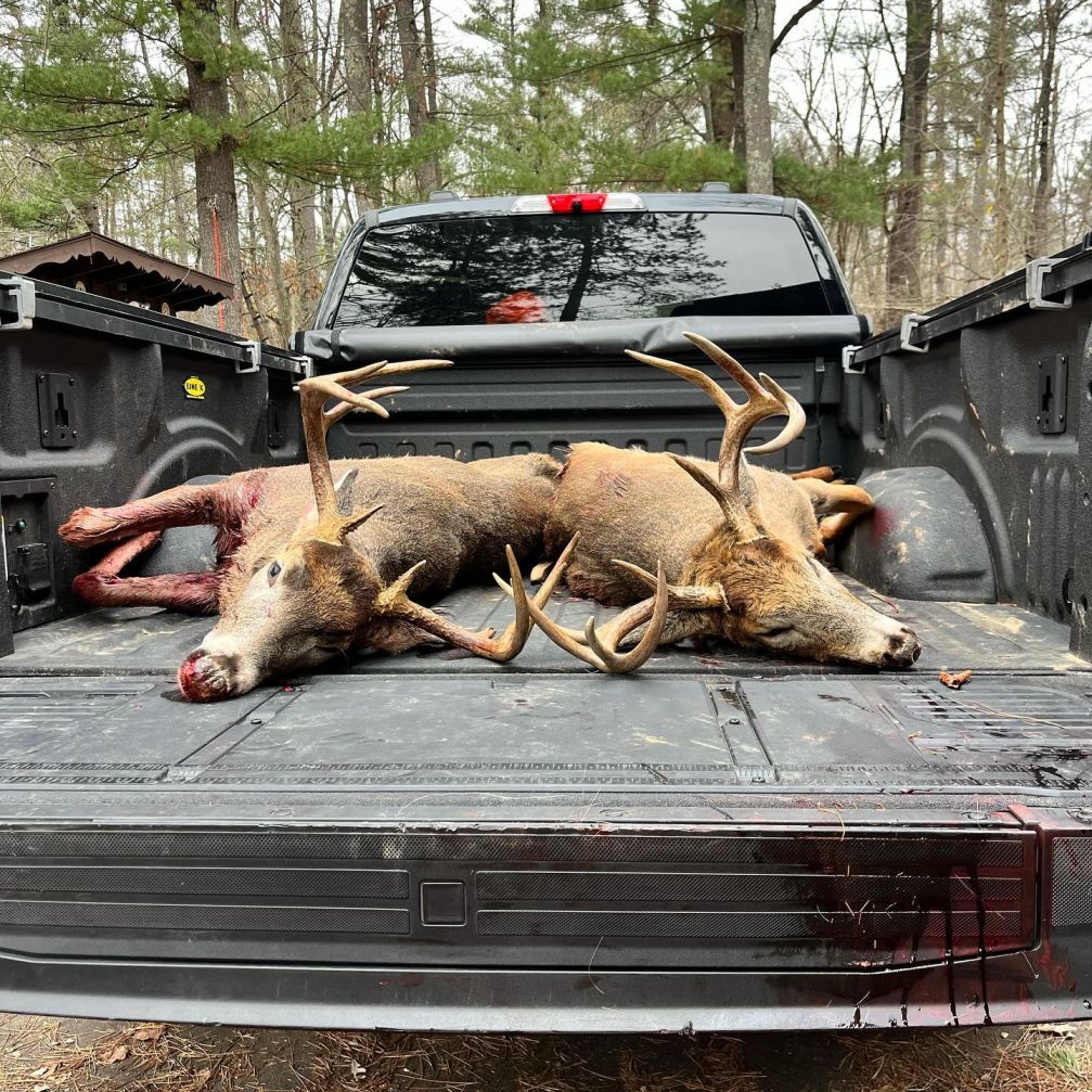 whitetail land improvement contractors in wi