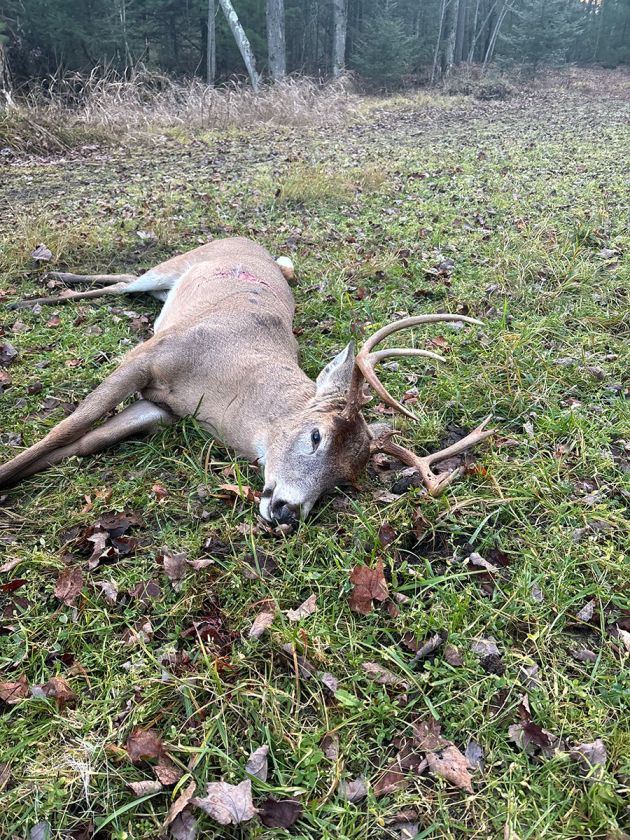 whitetail hunting property layout design in wisconsin