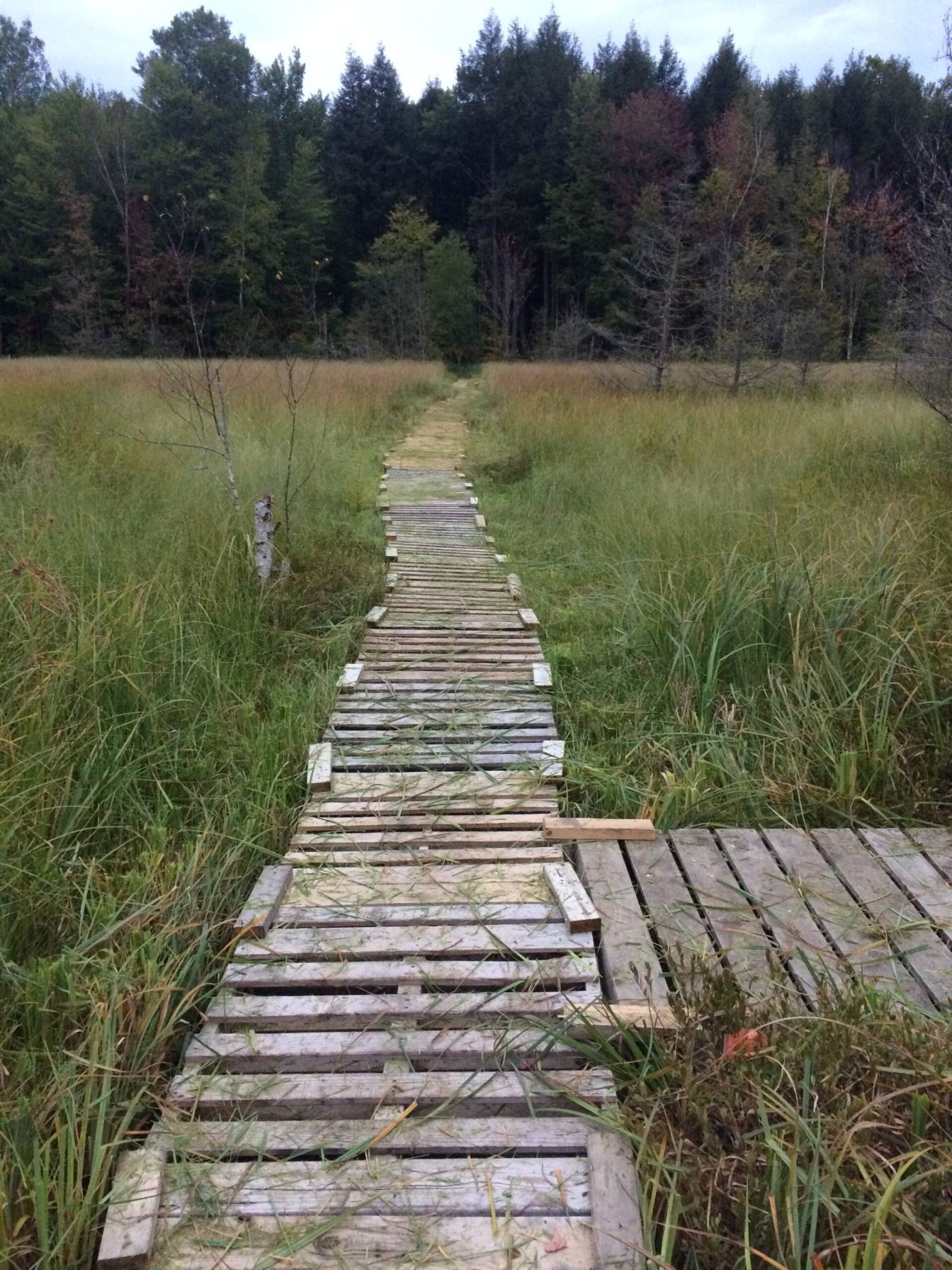 whitetail design build services in wisconsin