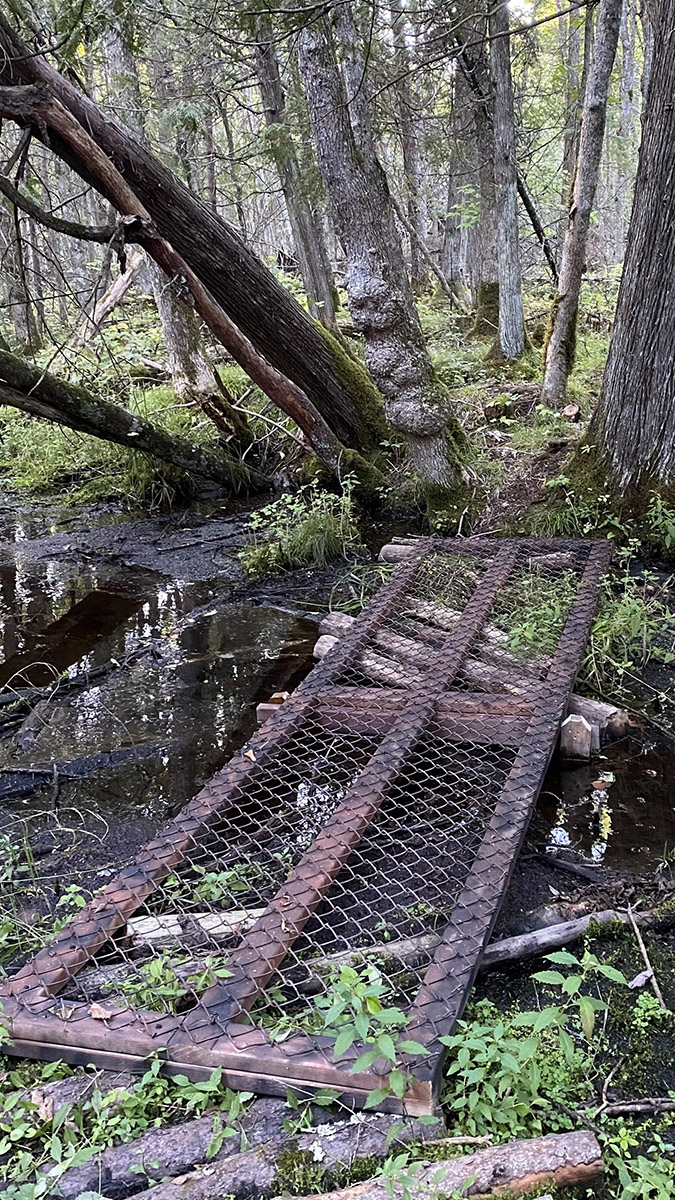 food plot design for whitetail deer in eau claire wi